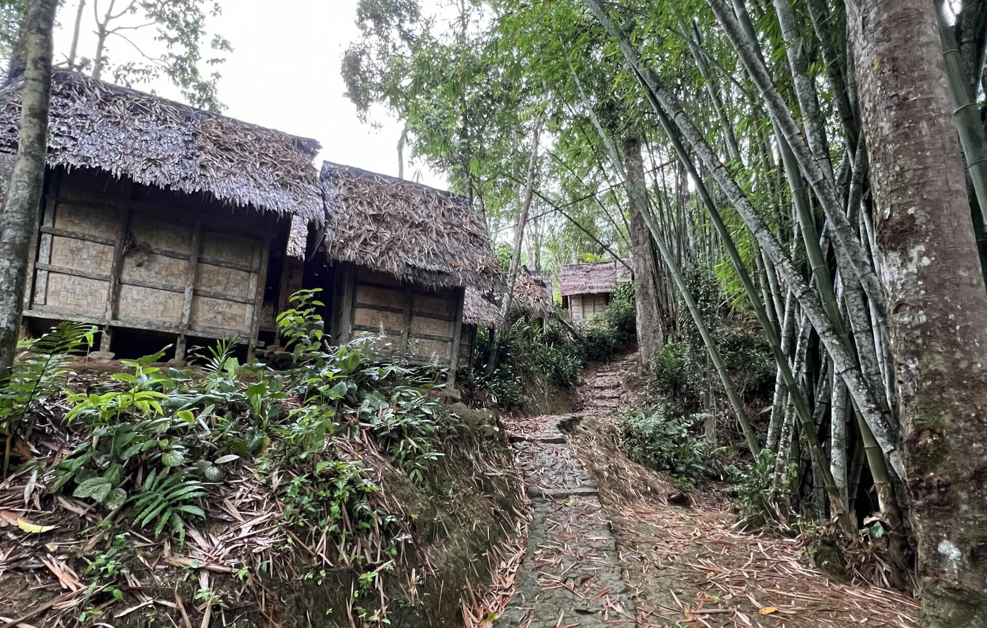 Tur Baduy Dalam