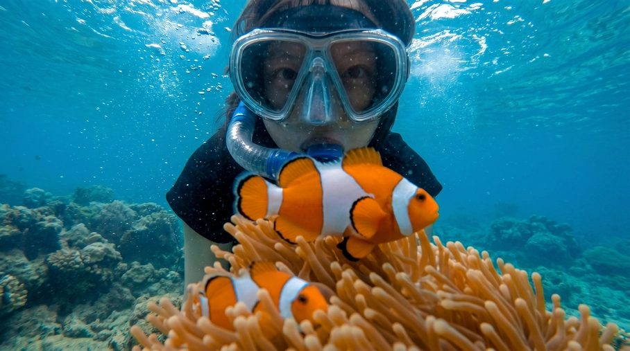 Open Trip Pulau Pahawang 2026 - Paket Wisata Murah dari Jakarta & Merak
